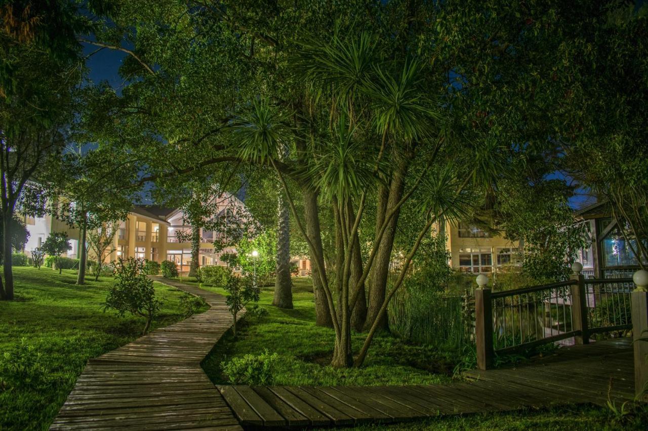 让克莱维尔斯公园酒店 埃斯特角城 外观 照片 The campus at night